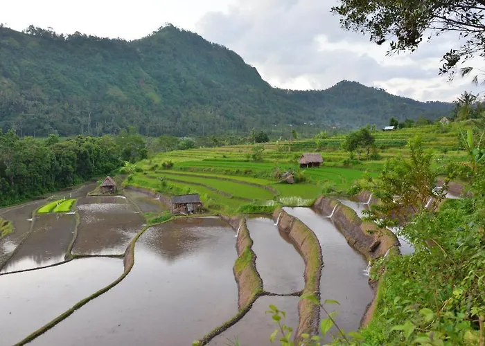 Arta Nadi Maison d'hôtes Sidemen (Bali)
